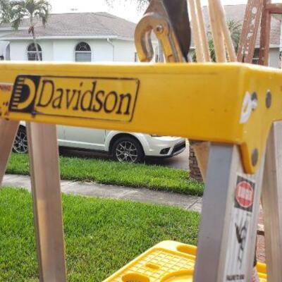 Davidson Ladder Lot
