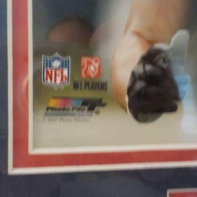 " Patriots Wes Welker Pro Photo".