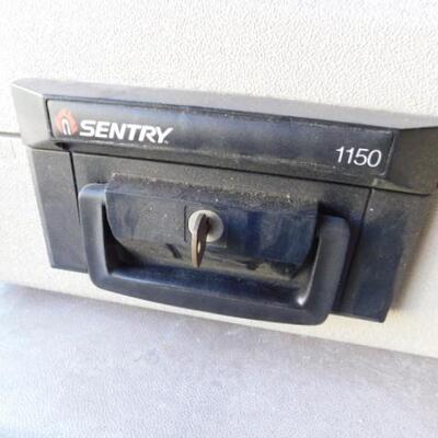 Sentry Carry Safe with Key