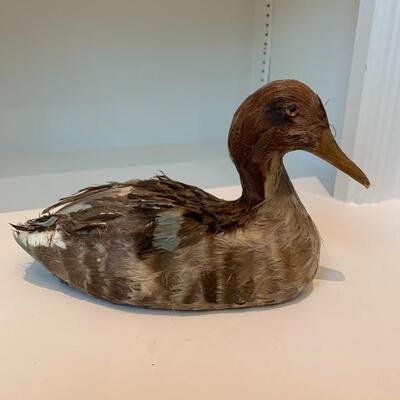Vintage Feathered Duck
