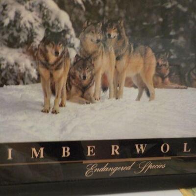 Amazing pictured framed of Timber wolf.