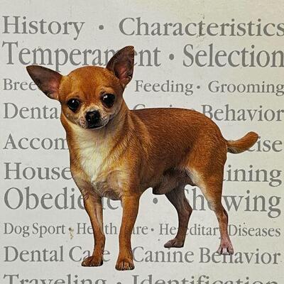 L127: Chihuahua Book Taco Bell Dog
