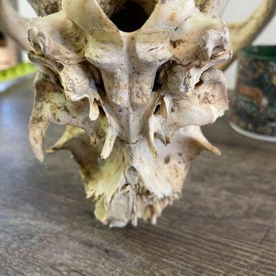 L153: Deer Decor