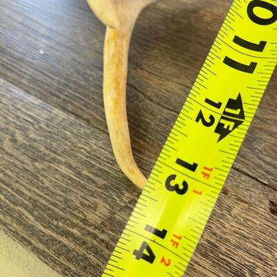 L153: Deer Decor