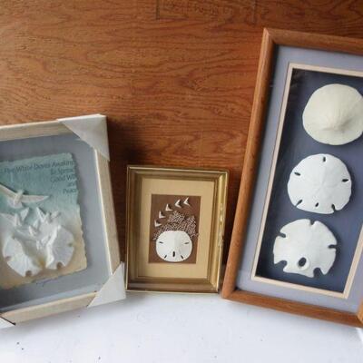 3- New framed Sea shell portraits.