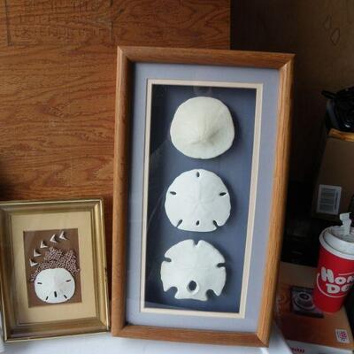 3- New framed Sea shell portraits.