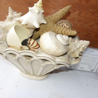 Large Boquet of Real Sea shells.