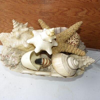 Large Boquet of Real Sea shells.