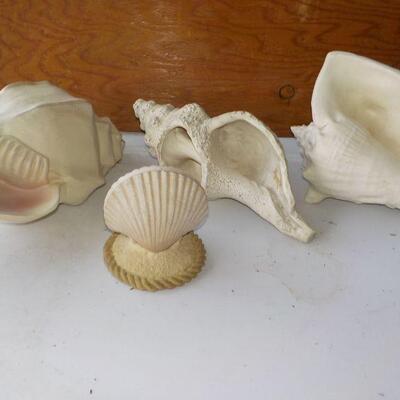 4 - Large Shells decor.