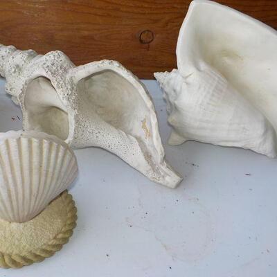 4 - Large Shells decor.