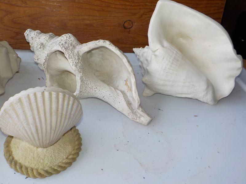 4 Large Shells decor.