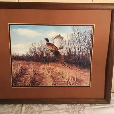 LR#329 - Maass pheasant picture