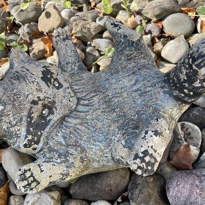 216: Outdoor Racoon Yard Decor