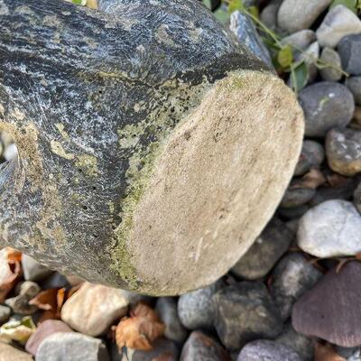 216: Outdoor Racoon Yard Decor
