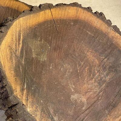 242: Set of two Raw Cuts of Black Walnut