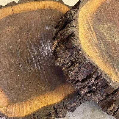 242: Set of two Raw Cuts of Black Walnut