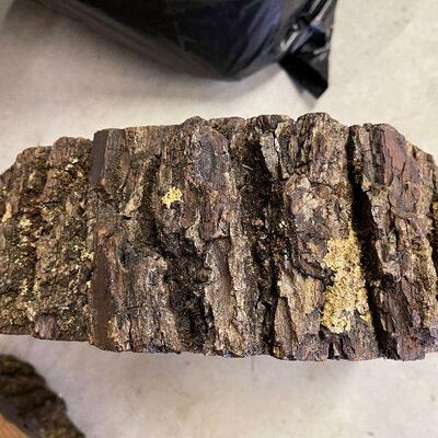 242: Set of two Raw Cuts of Black Walnut