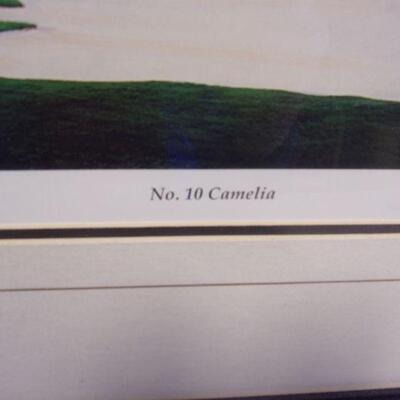 Lot 161 -  Augusta National 's No. 10 Camelia Number & Signed