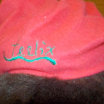 4 "Teelix Bears Family".