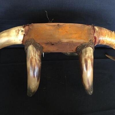 Antique Victorian Steer Horn Rack Hook