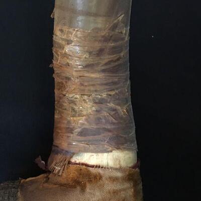 Antique Victorian Steer Horn Rack Hook