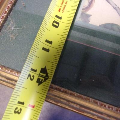 Lot 165 - Bird On A Limb Picture