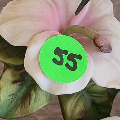 D55: Hummingbird Lot