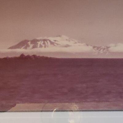 D67: Photograph in Frame