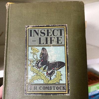 F114: Book about Insects, Reptiles, and More