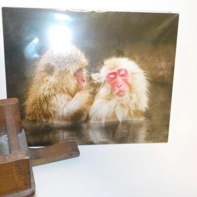 Hand crafted wooden doll sled and primate picture.