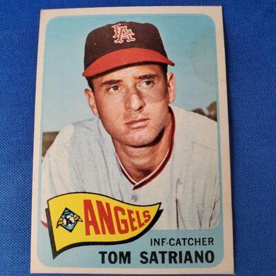 Lot 53: Topps Tom Satriano Baseball Card 