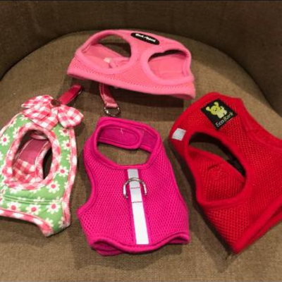 Dog clothes fits 10 lb dig