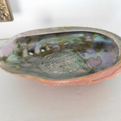 Large Polished Abalone Shell Home Decor for Trinkets 9
