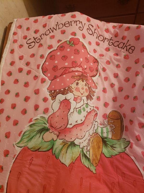 Vintage strawberry shortcake throw blanket EstateSales