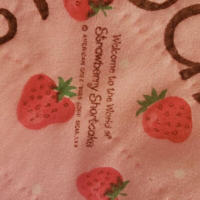 Vintage strawberry shortcake throw/blanket 