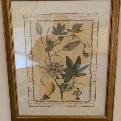 Trio of framed floral prints 