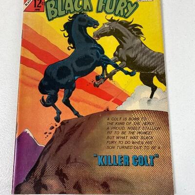 Lot #71 S Vintage CDC Comic Black Fury Volume 1 #42 June 1963