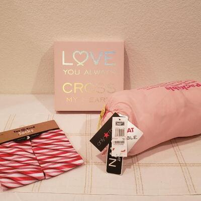 Lot 367: NEW Down Packable Pink Blanket, Canvas Message Art & Candy Cane Socks