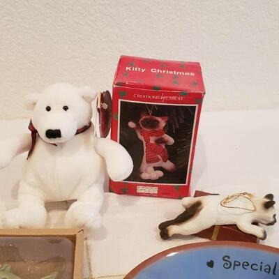 Lot 405: New Cat Enthusiast Lot