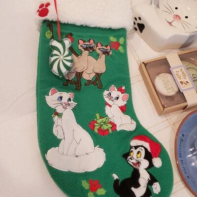 Lot 405: New Cat Enthusiast Lot