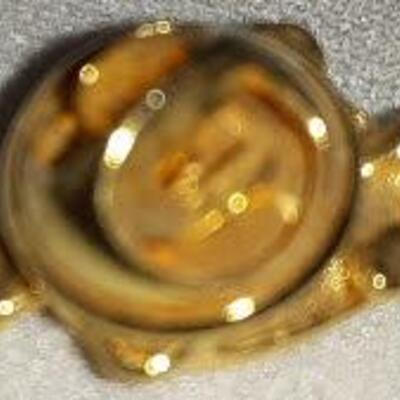 Golden Turtle Pin