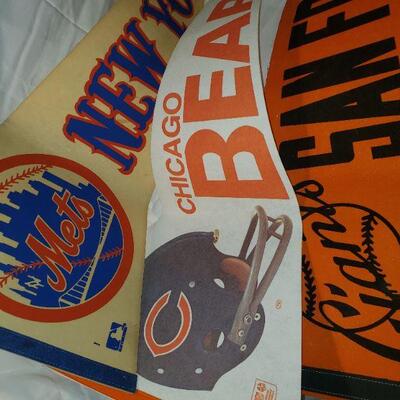 Sports Fans 