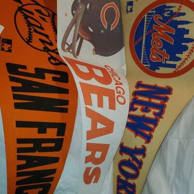 Sports Fans 