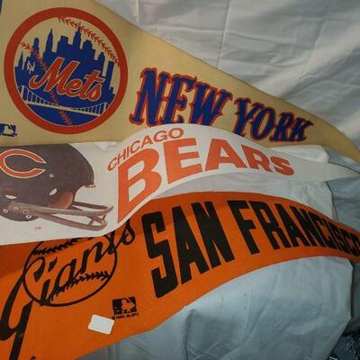 Sports Fans 
