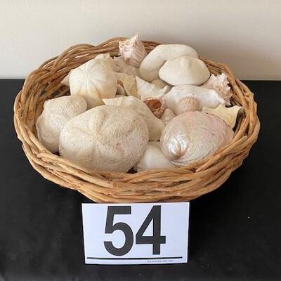 LOT#54LR: Large Basket with Assorted Shells