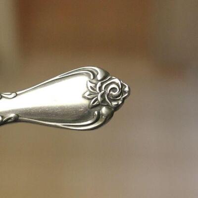 Lot 91 Oneida Stainless Flatware 