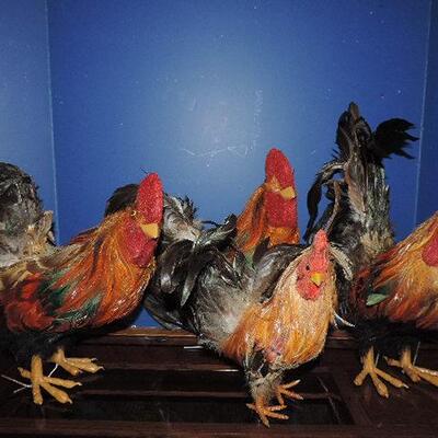 WHO LET OUT THE CHICKENS?