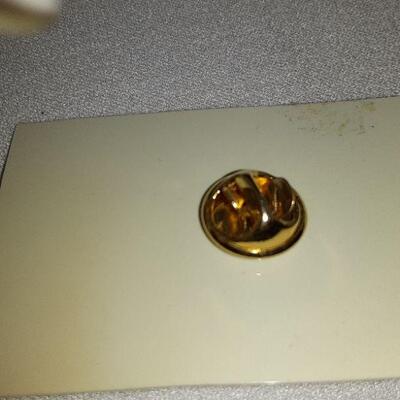 Blue Backed Turtle Pin