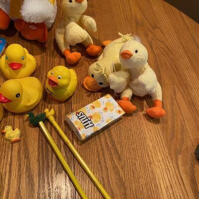 Ducky Lot