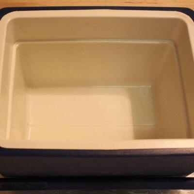 Igloo personal cooler